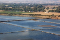 Le Saline di Tarquinia